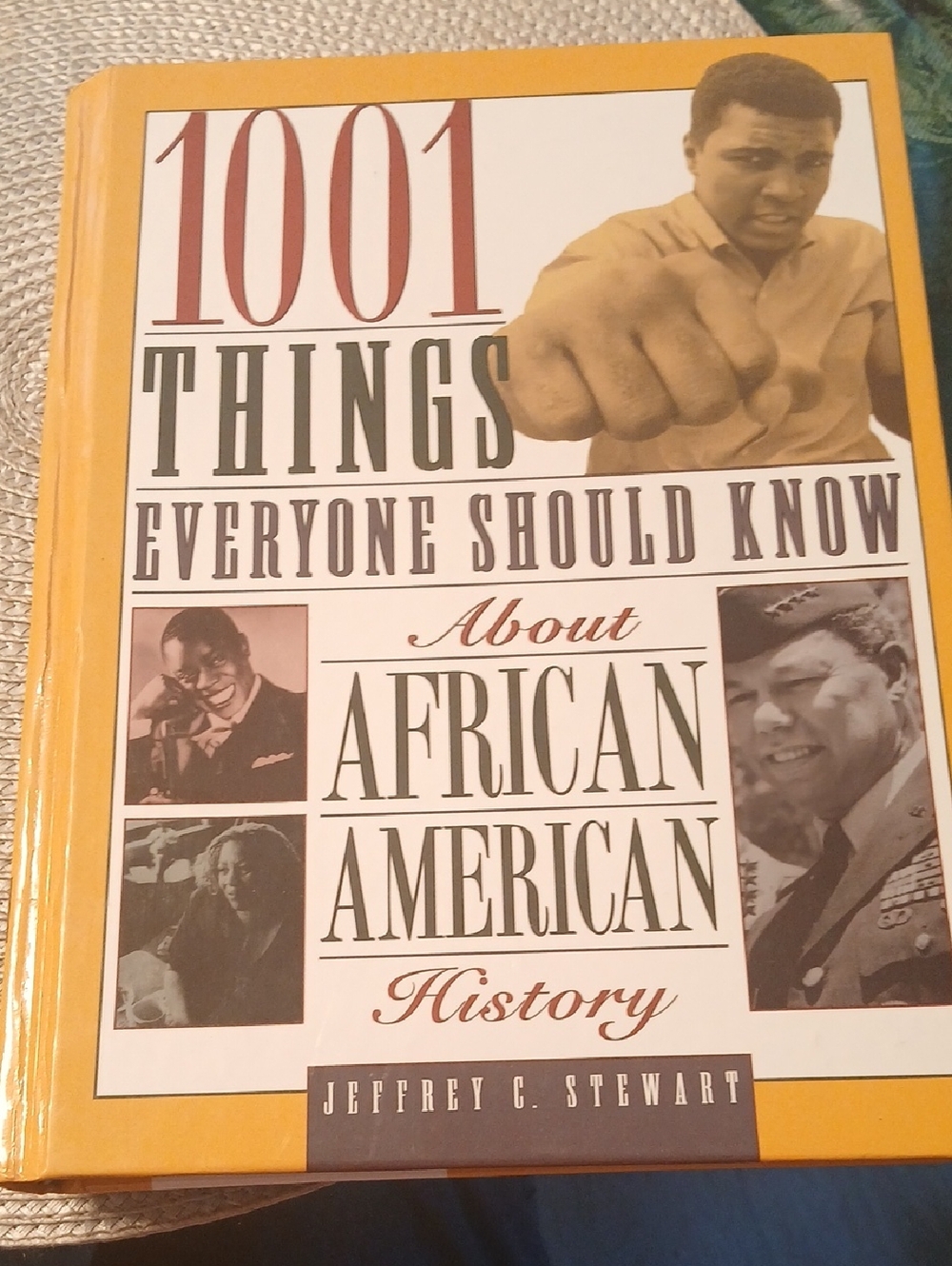 1001 Things Everyone Should Know About African Amerian History 406 Pages